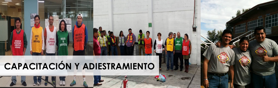 CAPACITACION Y ADIESTRAMIENTO